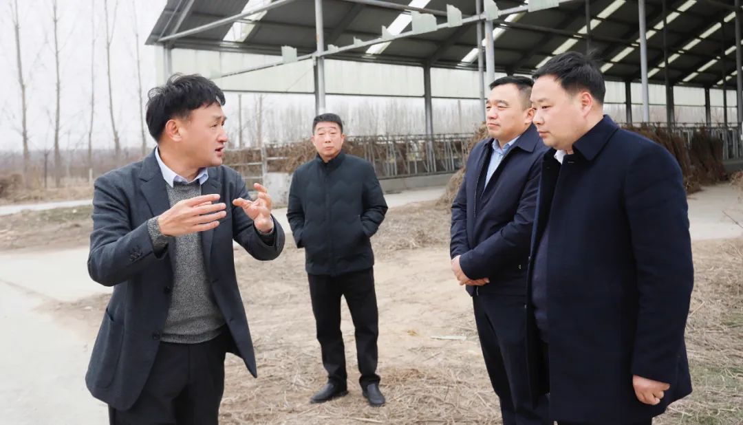 發(fā)揮產(chǎn)業(yè)優(yōu)勢(shì) 助力鄉(xiāng)村振興 | 民權(quán)縣委副書(shū)記、縣長(zhǎng)王靜嫻會(huì)見(jiàn)關(guān)曉彥董事長(zhǎng)一行