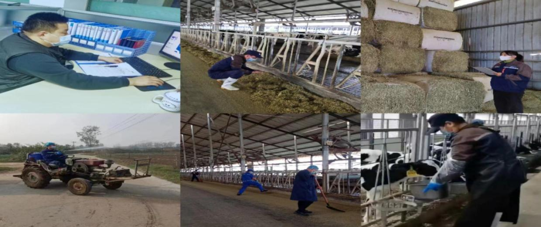 @全體花花牛人：請(qǐng)珍惜你的崗位，請(qǐng)善待我們共同的“花花?！?！