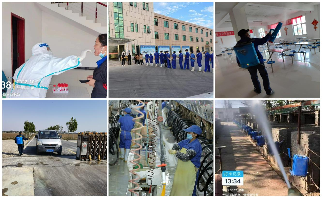 抗疫情、保供應(yīng)、顯擔(dān)當(dāng)——花花牛在行動(dòng)?。。? style=