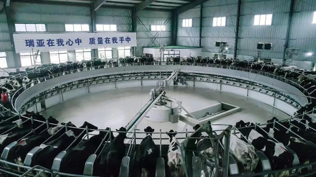 快訊 | 駐馬店市委副書記、市長李躍勇一行蒞臨花花牛乳業(yè)集團(tuán)平輿瑞亞牧場調(diào)研