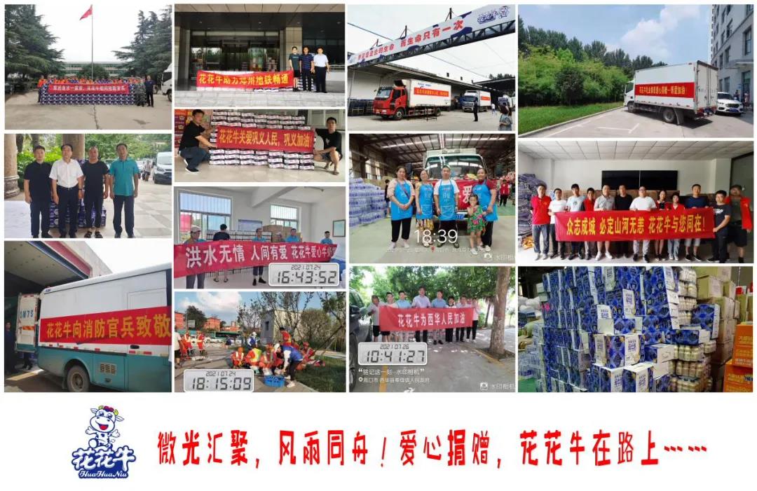 【乳報·聚焦】“豫”難而上的中原牛人“太中了”！