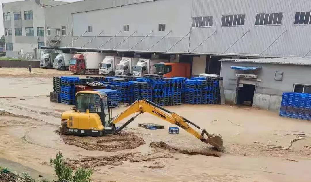 【乳報·聚焦】“豫”難而上的中原牛人“太中了”！