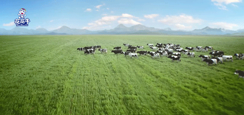 榮譽(yù) | 2019年度河南省美麗牧場名單新鮮出爐 花花牛乳業(yè)集團(tuán)旗下六個(gè)牧場榜上有名 榮譽(yù) | 2019年度河南省美麗牧場名單新鮮出爐 花花牛乳業(yè)集團(tuán)旗下六個(gè)牧場榜上有名