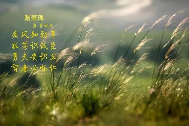 花花牛 | 疾風(fēng)來臨，你是不是勁草？