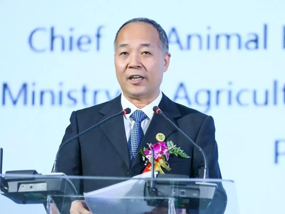 SDDDC走進(jìn)河南，看看花花牛的國際范兒！