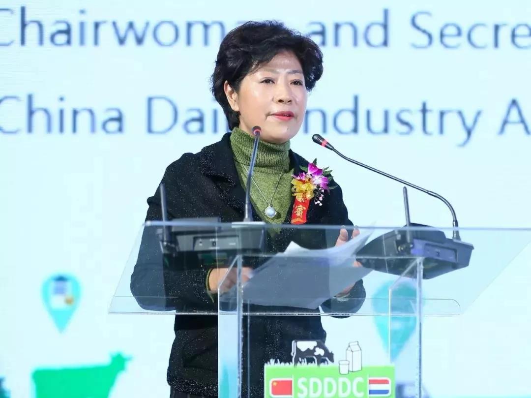 SDDDC走進(jìn)河南，看看花花牛的國際范兒！