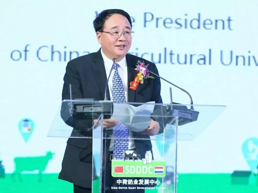 SDDDC走進(jìn)河南，看看花花牛的國際范兒！