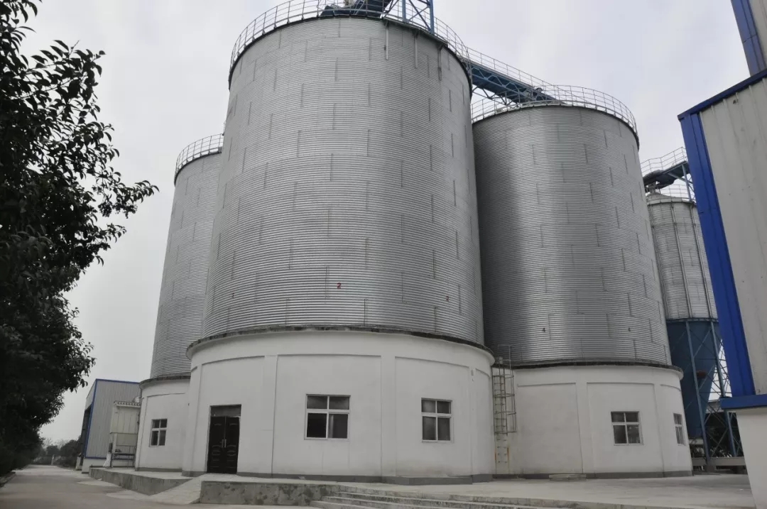 第31屆中原畜牧業(yè)交易博覽會 || 花花牛乳業(yè)集團獲“河南省畜牧行業(yè)——最具影響力品牌”獎