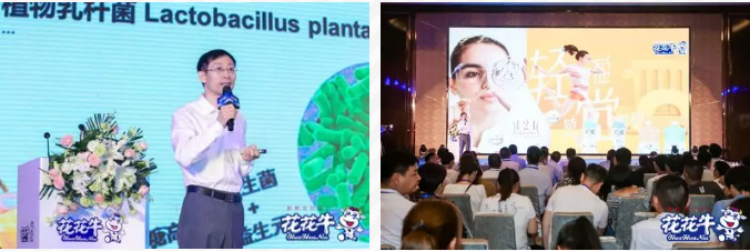 花花牛輕覺上市暨優(yōu)質(zhì)乳工程認(rèn)證發(fā)布會(huì)，盛大啟幕！